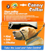 Canny Collar